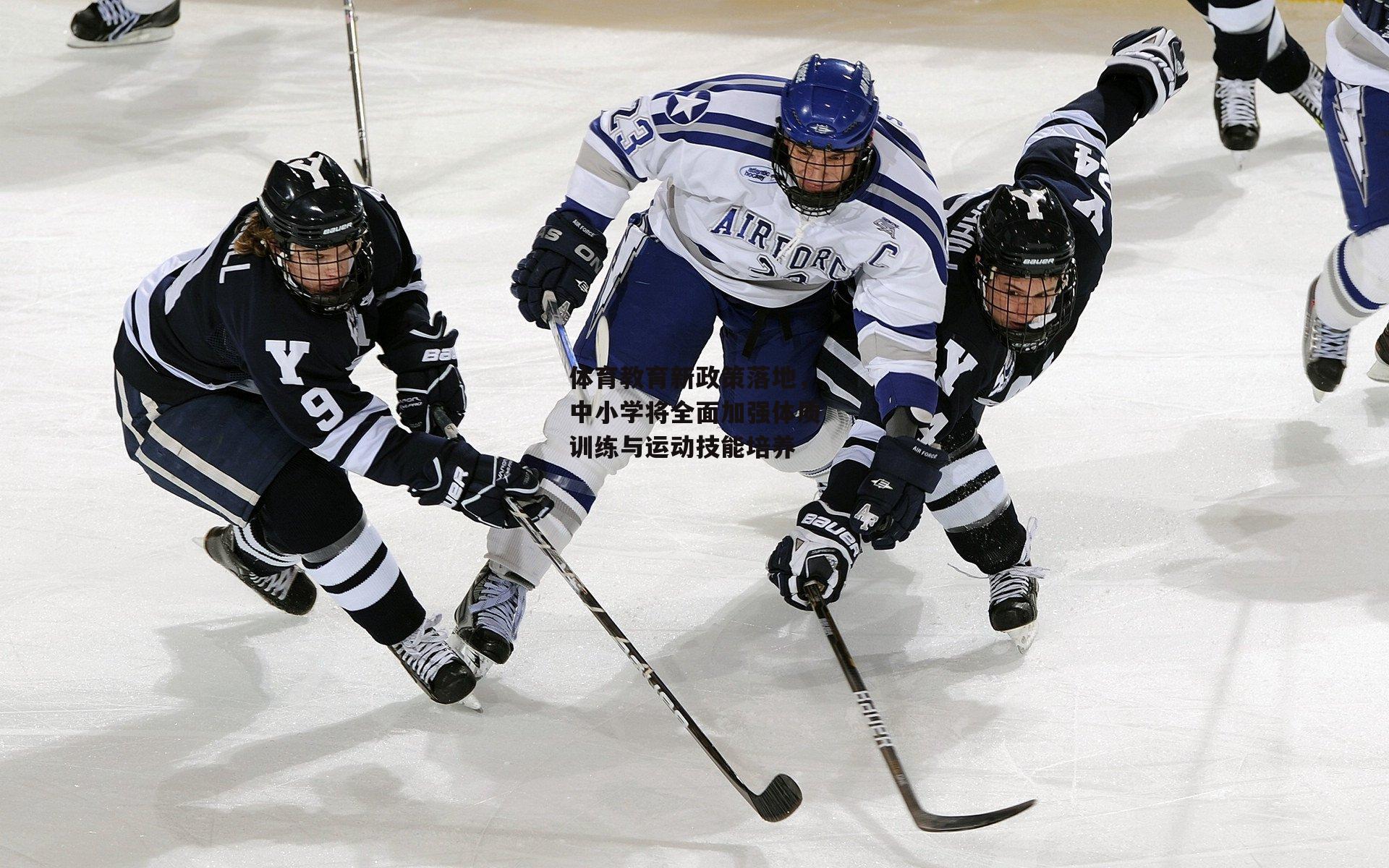 体育教育新政策落地,中小学将全面加强体质训练与运动技能培养