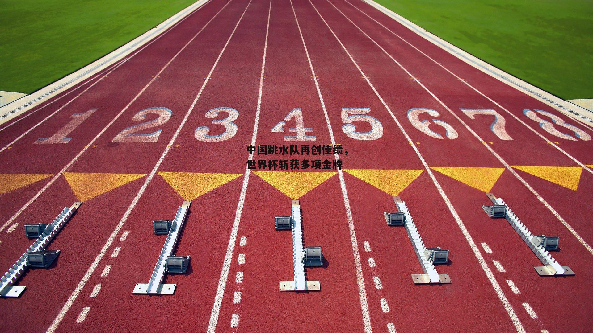 中国跳水队再创佳绩,世界杯斩获多项金牌