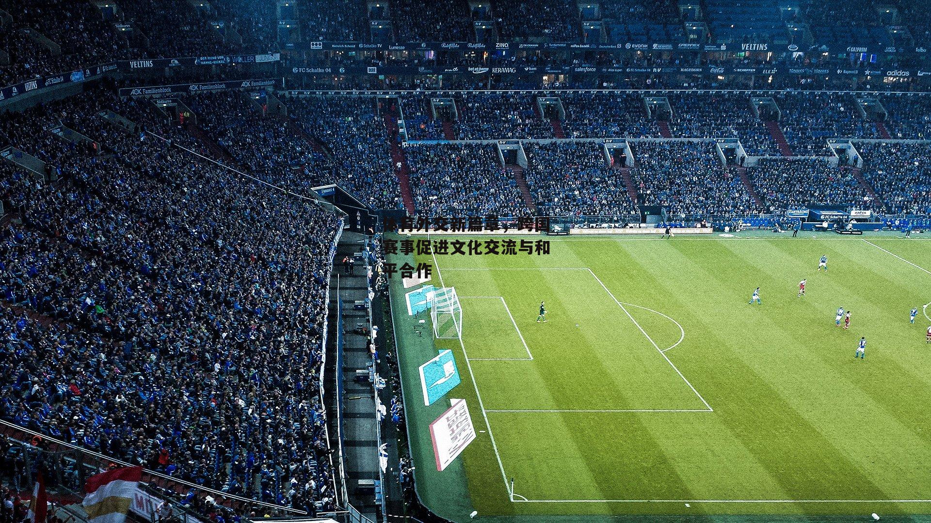 体育外交新篇章,跨国赛事促进文化交流与和平合作